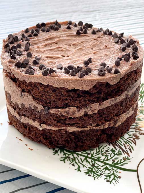Peppermint Hot Chocolate Layered Cake
